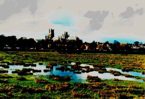Ely marshes 1